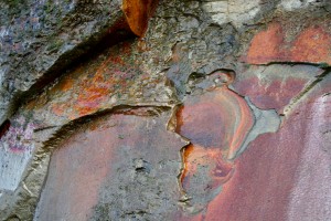 Oregon Cliff Face