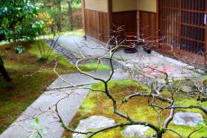 Japanese Gardens in Seattle