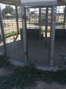 Picture of an empty cage