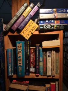 Picture of a Book Shelf